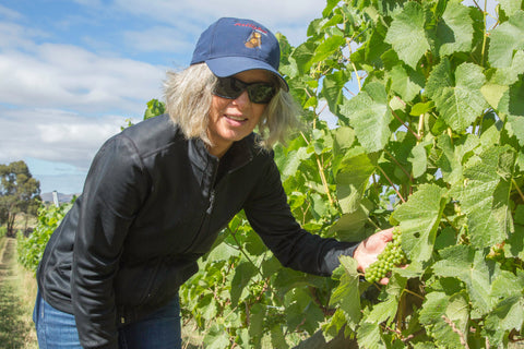 Grape Picking and Squeeze/Crush  Sunday April 12     1.00 PM