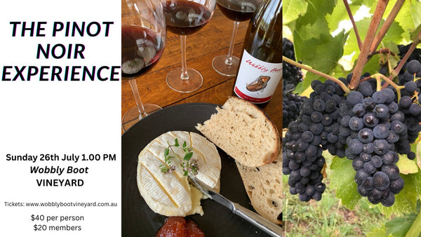 The Pinot Noir Experience