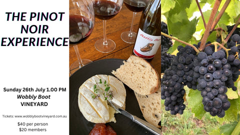 The Pinot Noir Experience