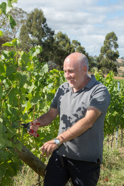 Grape Growing Workshop    Sunday April 12      2.00 PM