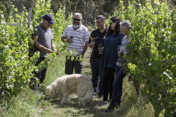 Bubbles in the Bush - Tickets Saturday 28 February 11.30 AM - 1.00 PM